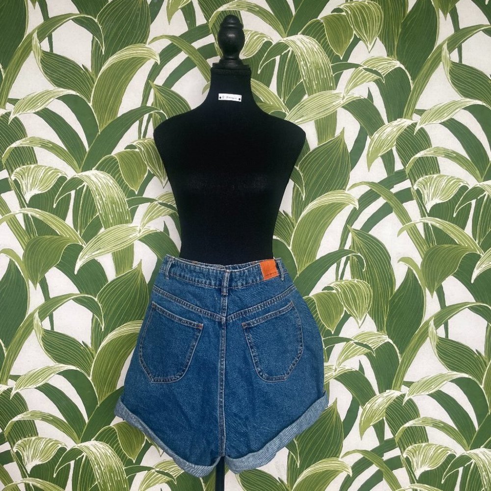 Like New Zara High waisted denim Shorts